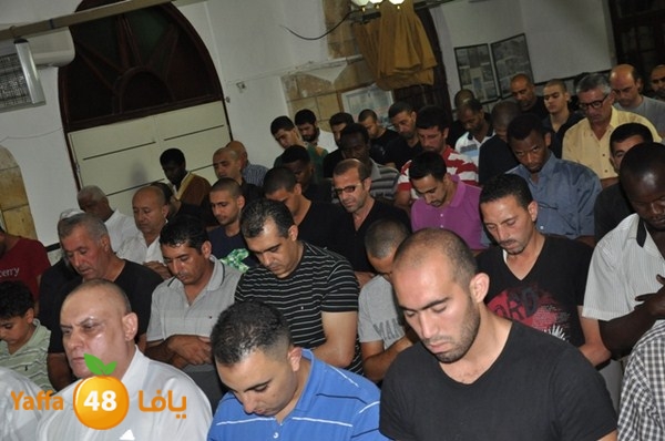 trawe7 7san bek 715 (13).JPG